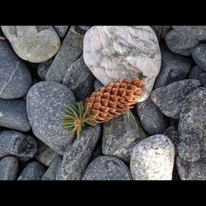 Meet your Posher, Jess